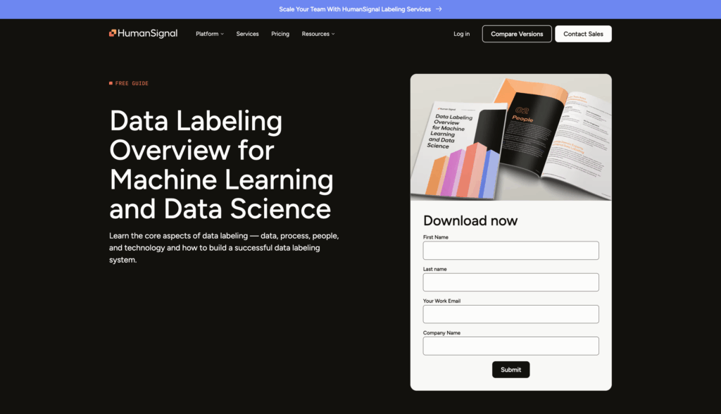 Data Labeling Guide